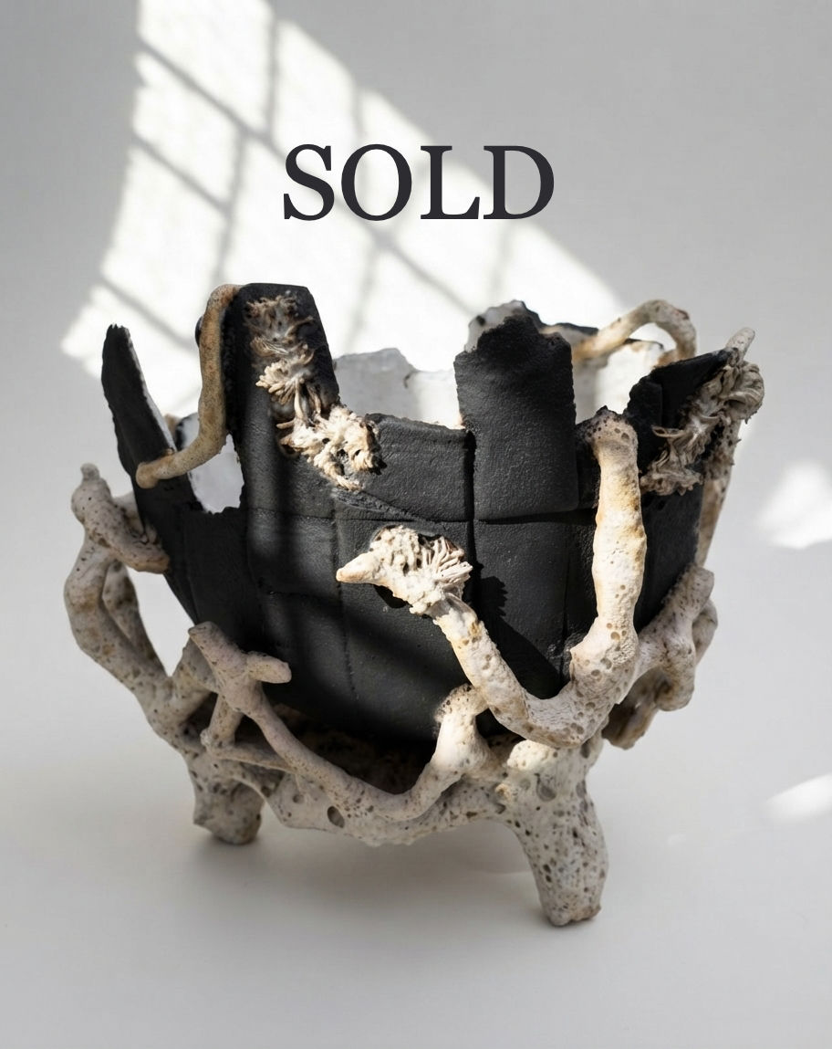 Recovered Relic – Cathedral Reef