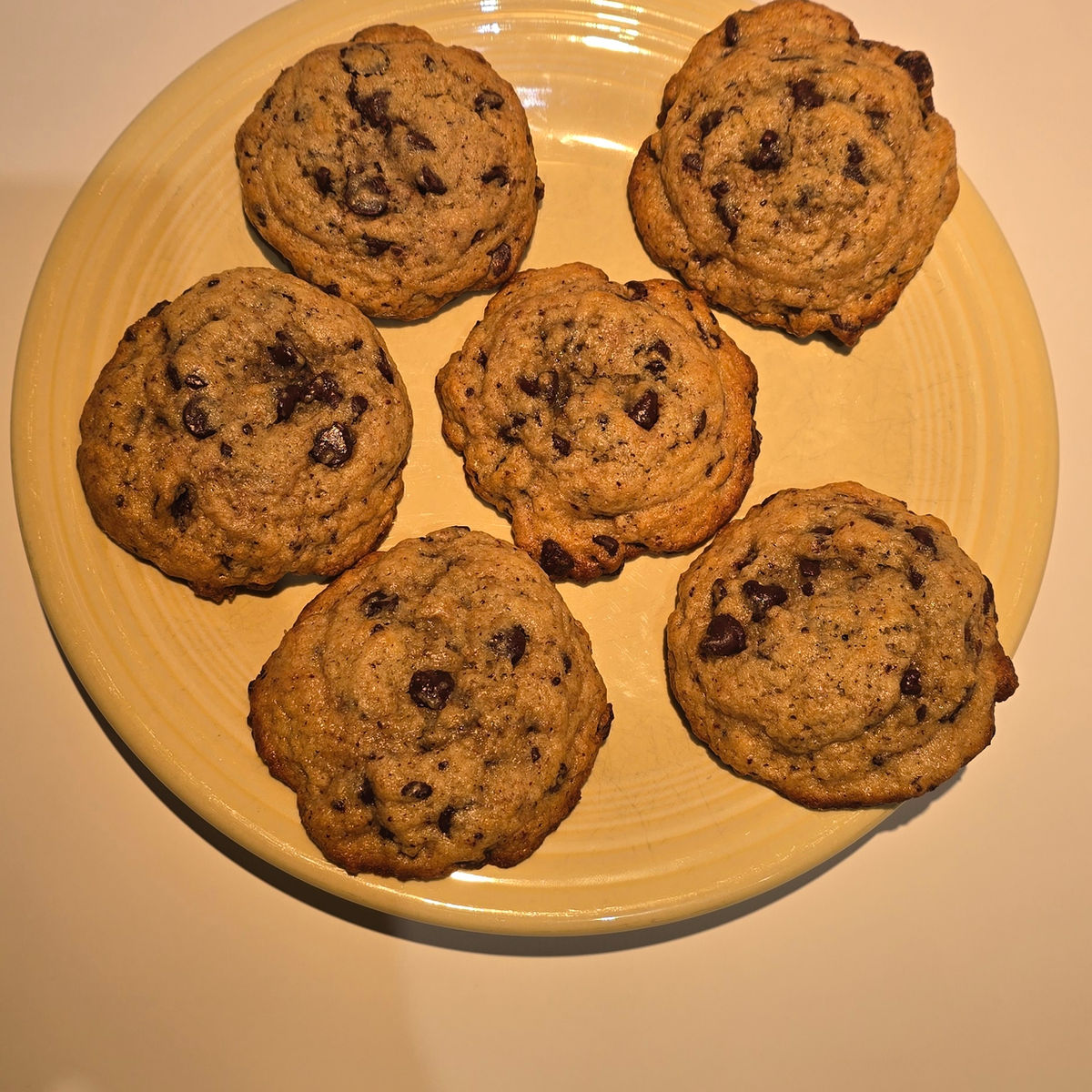 Sourdough Chocolate Chip Cookies 6 Pack