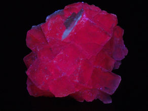LW red fluorescing fluorite from Morocco