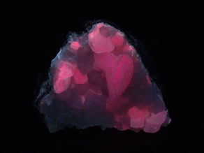 Fluorescent calcite, with quartz crystals - Estrie, Quebec, Canada