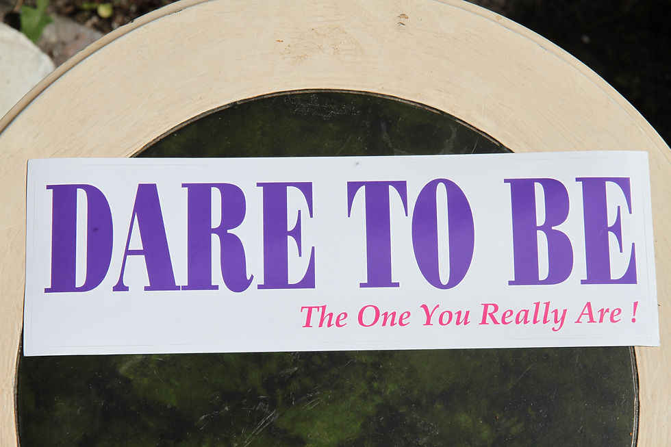 Bumper Sticker