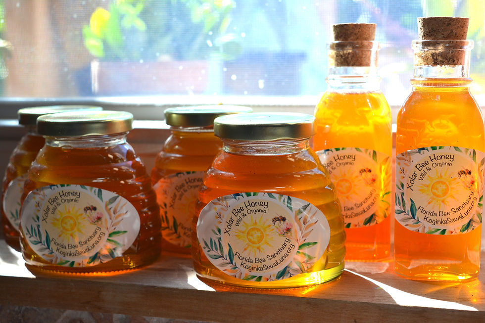 Thumbnail: Xolar Bee Raw Honey 8 oz