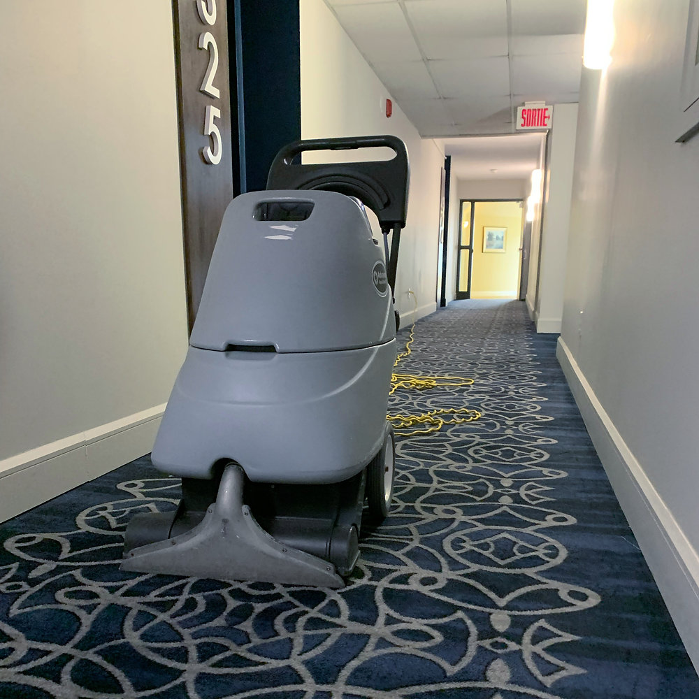 Carpet Cleaning Commercial, Residence, Apartment, Condo Before