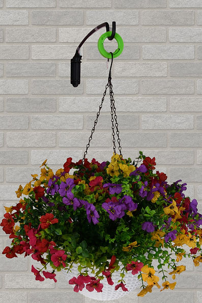 patio-drip-uDripRing-between-support-basket
