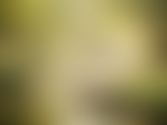 季节养生篇·春季