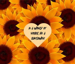 Sunflower snip for Gallery