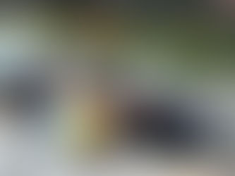 Seine-et-Marne. La Ferté-sous-Jouarre : une nouvelle balade fluviale sur la Marne