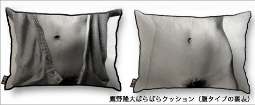 鷹野隆大アートグッズ「ぱらぱらクッション」