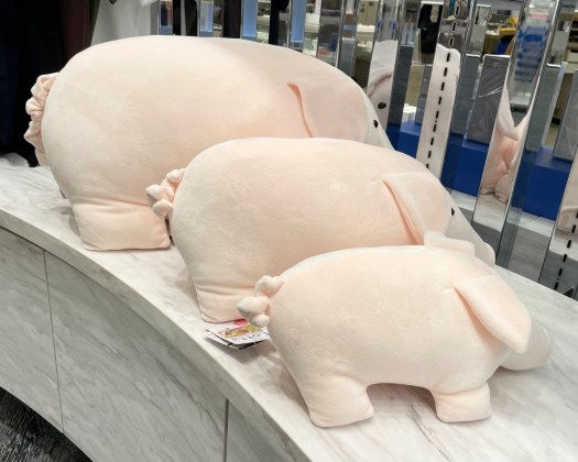 トイぬいぐるみ紹介】あの伝説の”こぶたのぬいぐるみ”が復活です！今週