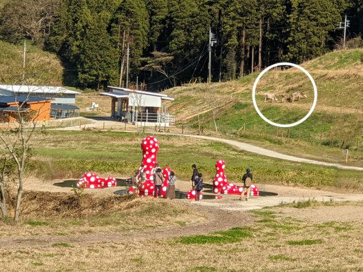 草間彌生作品