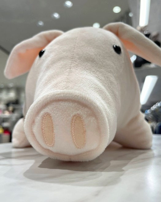 トイぬいぐるみ紹介】あの伝説の”こぶたのぬいぐるみ”が復活です！今週