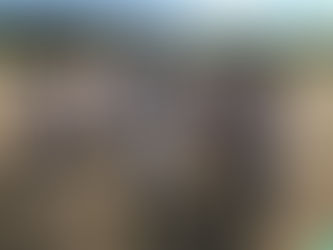 レギュラーチーム「東海理化旗ゼット杯争奪 第14回ボーイズリーグ選抜愛知県東大会」3回戦敗退で閉幕。