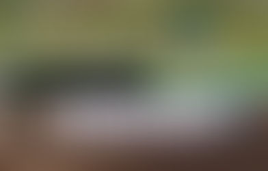 レギュラーチーム「第22回大和川大会」に挑みました。