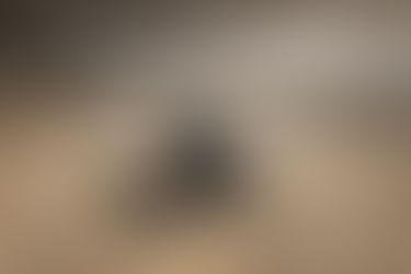 Courts Bury Their Head in the Sand and Decide “No Standing” in Election Lawsuits