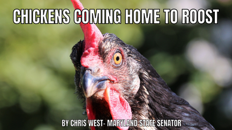 Chickens Coming Home to Roost