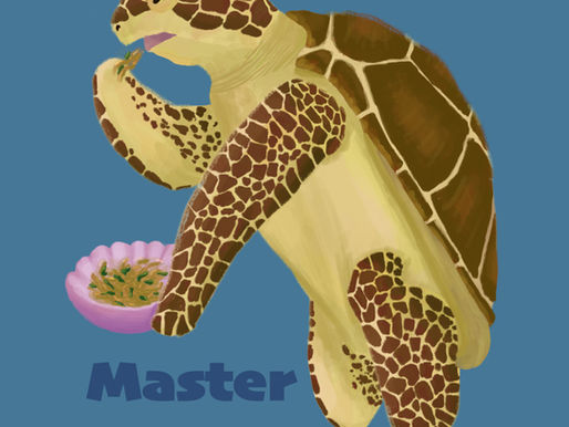 A sea turtle eating jellyfish salad