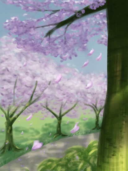 2025 Cherry Blossom at Richmond, BC