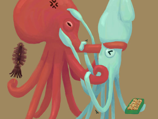 Octopus vs Squid: What’s the Difference?