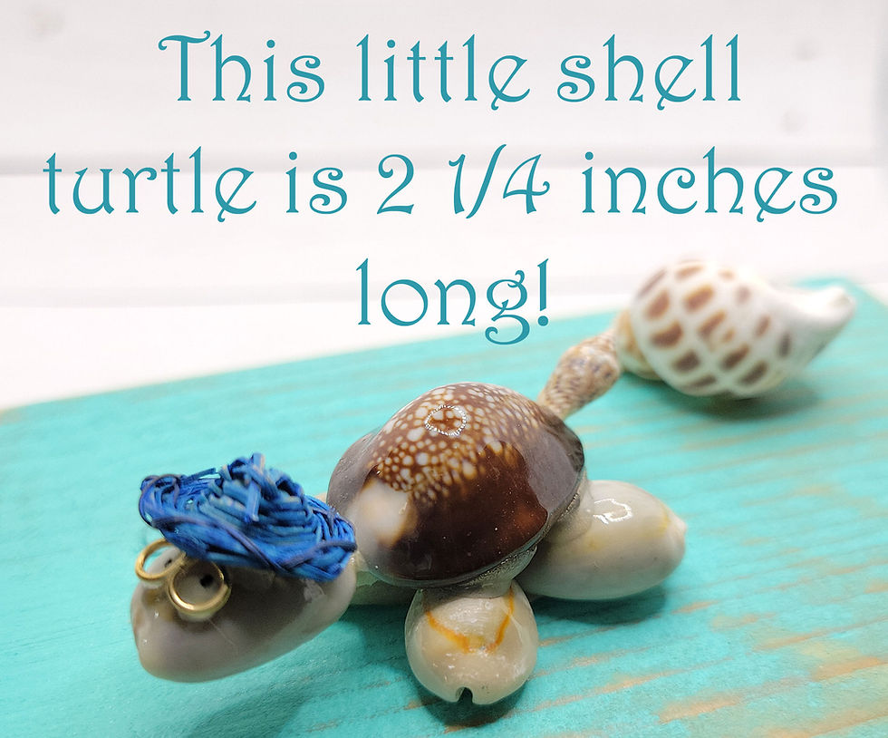 Thumbnail: Sea Turtle Gift Box