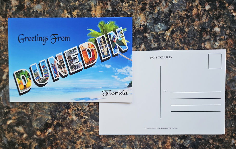Thumbnail: Greetings From Dunedin Florida Sounvenir Postcard