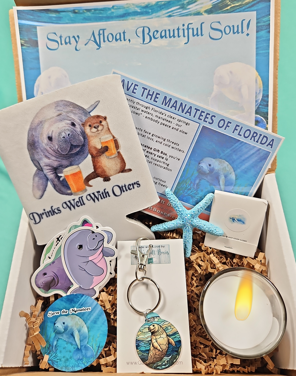 Thumbnail: Save the Manatees Souvenir Gift Box