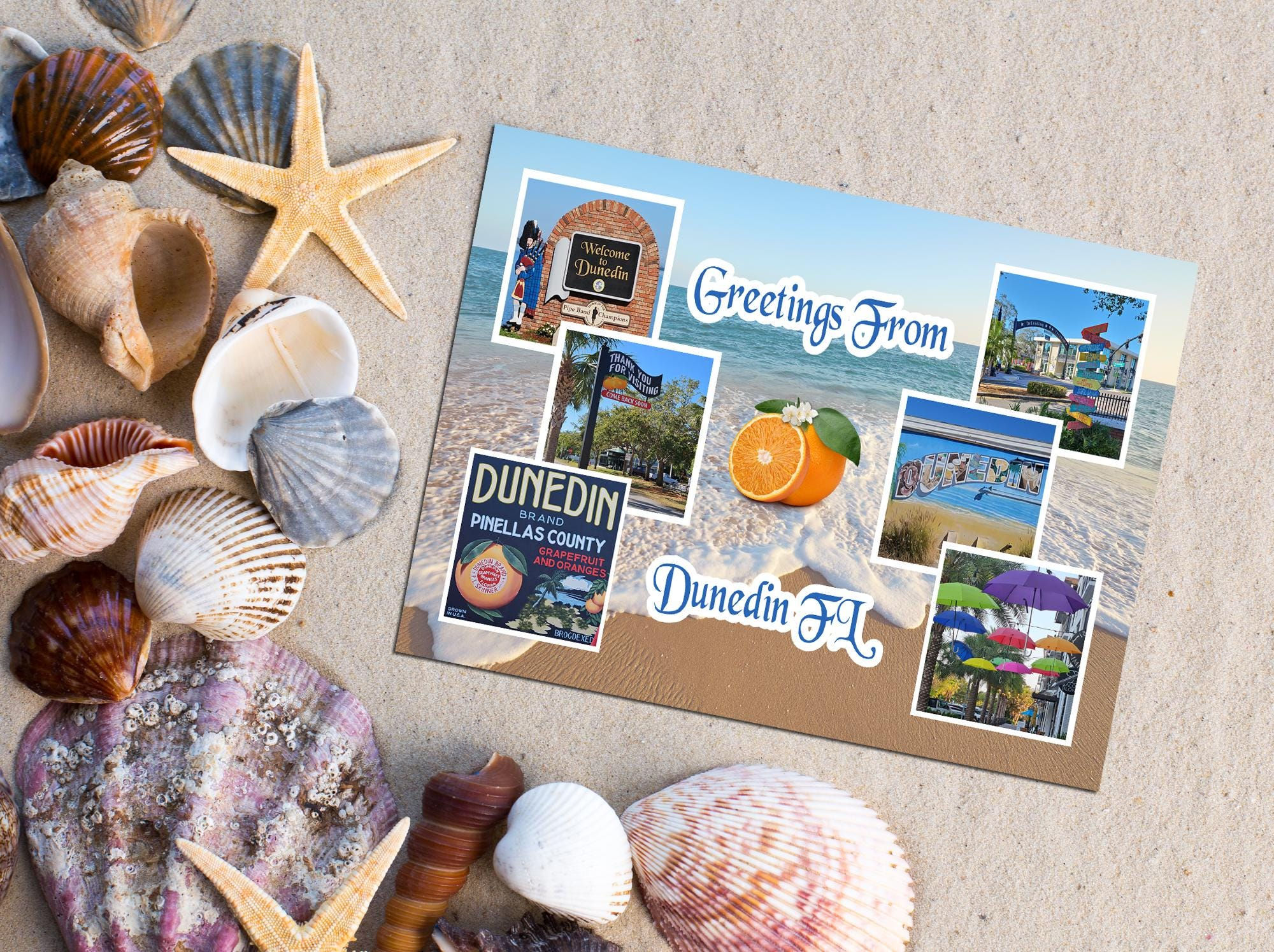 Greetings From Dunedin Florida Souvenir Postcard