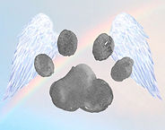 Logo1.jpg