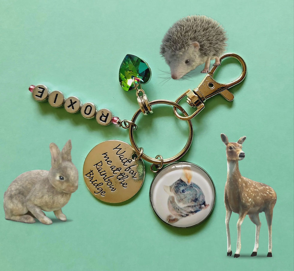 Thumbnail: Pet Memorial Key Chain for Loss of a Unique Pet