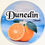Thumbnail: Dunedin Florida Refridgerator Magnet