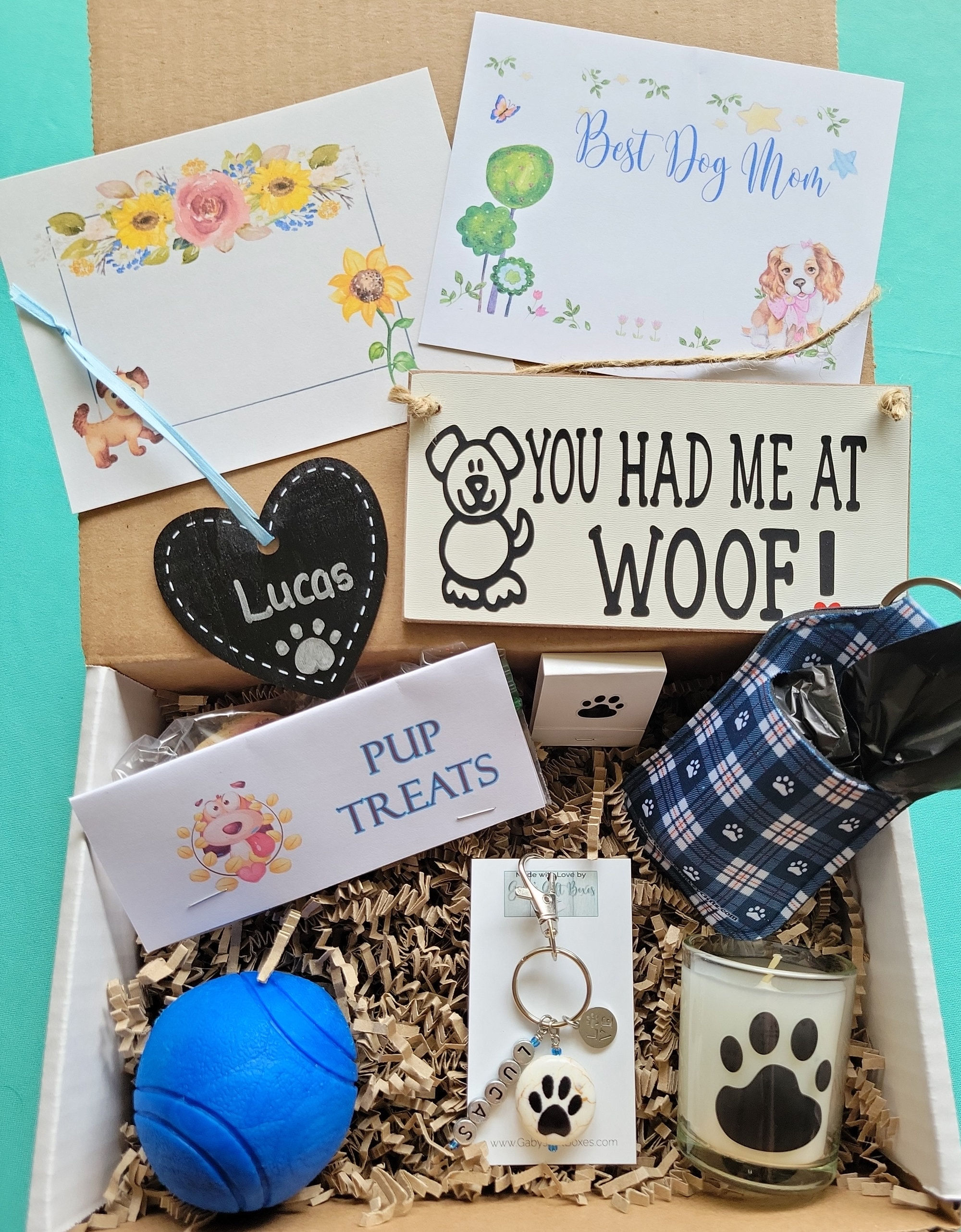 New Dog Owner Gift Box