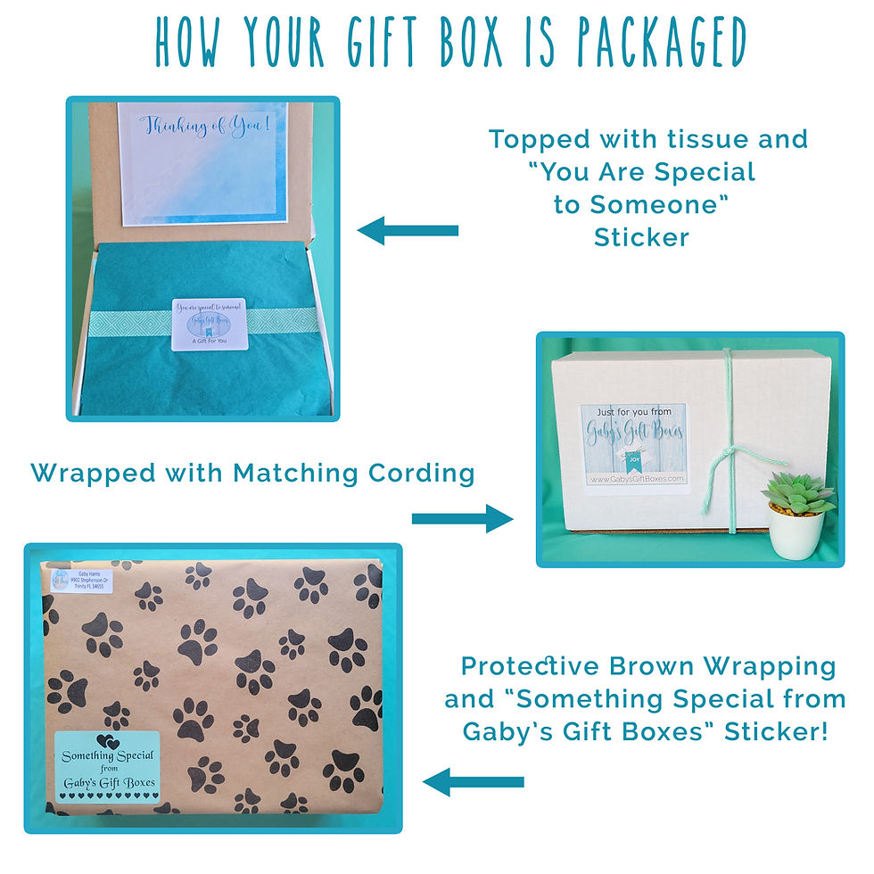 Thumbnail: Cat Lovers Gift Box
