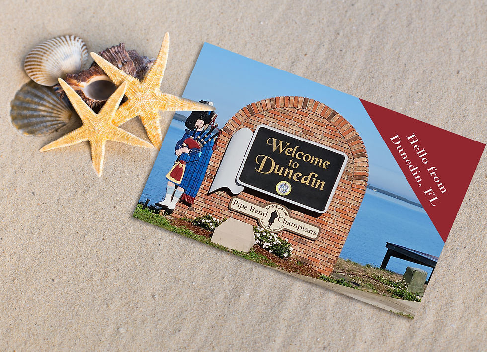 Thumbnail: Greetings From Dunedin Florida Souvenir Postcard