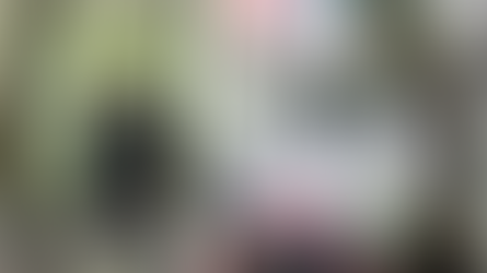 Energy News Network features renewable energy credits project from Region 5 TCTAC Blacks in Green