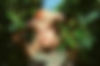 51911220328_39e8b21721_6k.jpg
