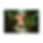 IMG_3538.PNG