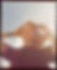 53603232551_0eddb8b98b_k.jpg