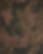 hbt-dot-main.jpg