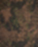 hbt-dot-main.jpg