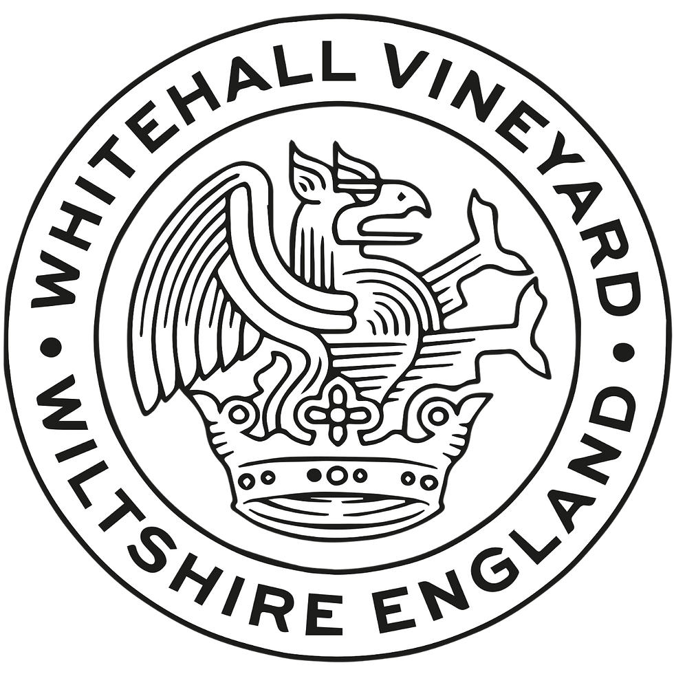 Vineyard Logo Vector.pdf.png