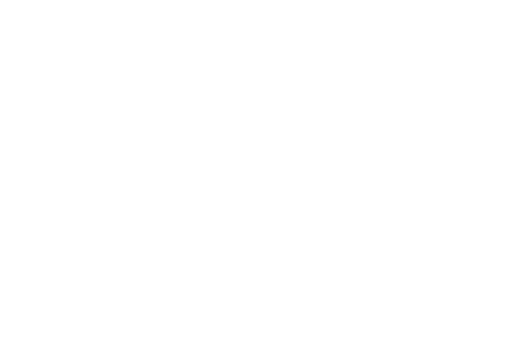 motif.png
