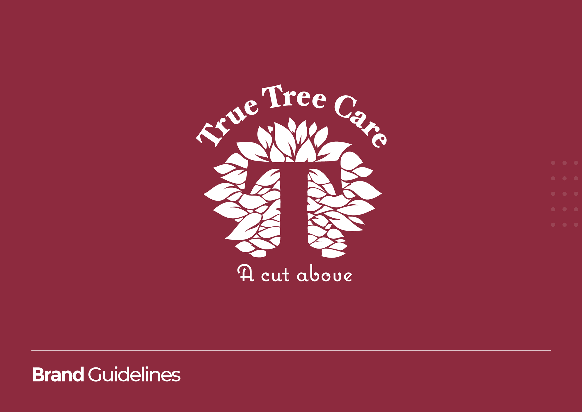 TTC_Brand_Guidelines_2020.gif