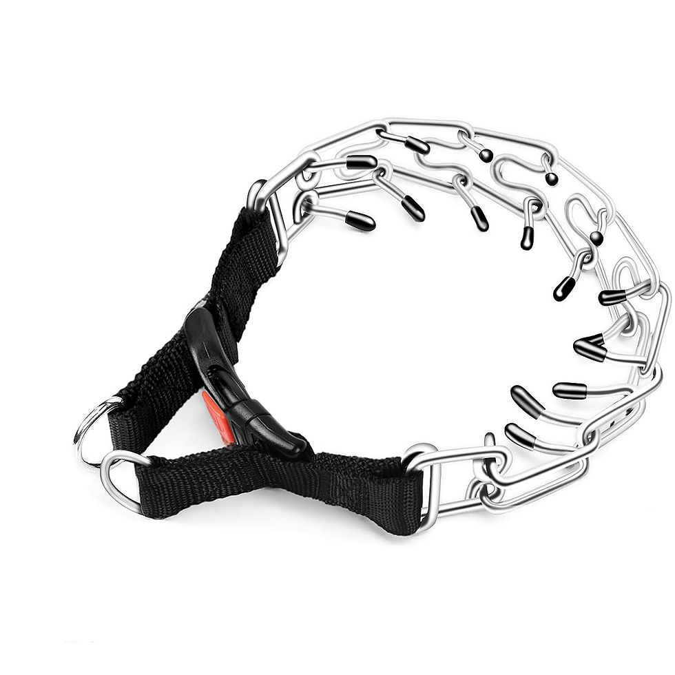 Miniatura: Collar de Adiestramiento de Acero Inoxidable C62