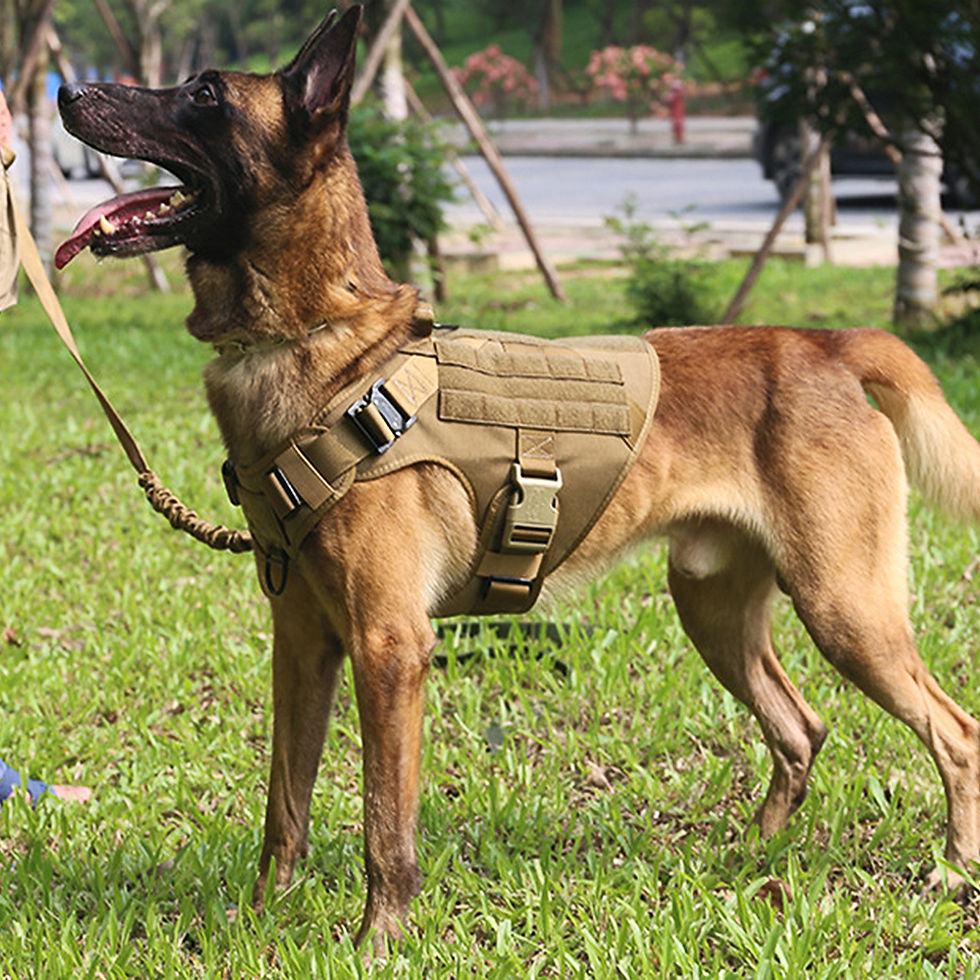 Miniatura: Arnés Táctico Militar K9