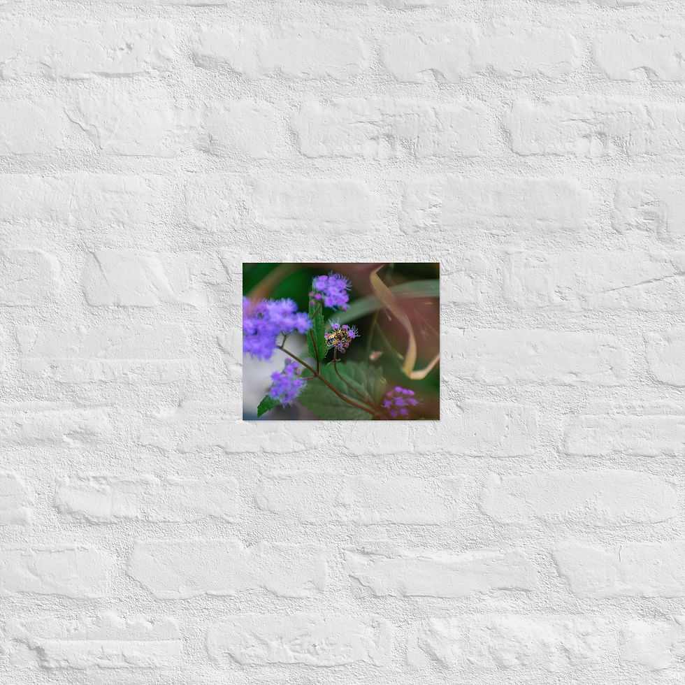 Thumbnail: Bee at work - Matte Poster