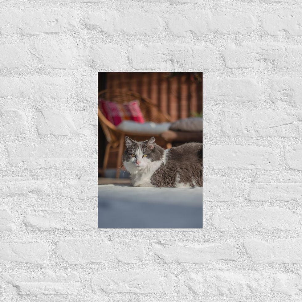Thumbnail: Mia - Matte Poster