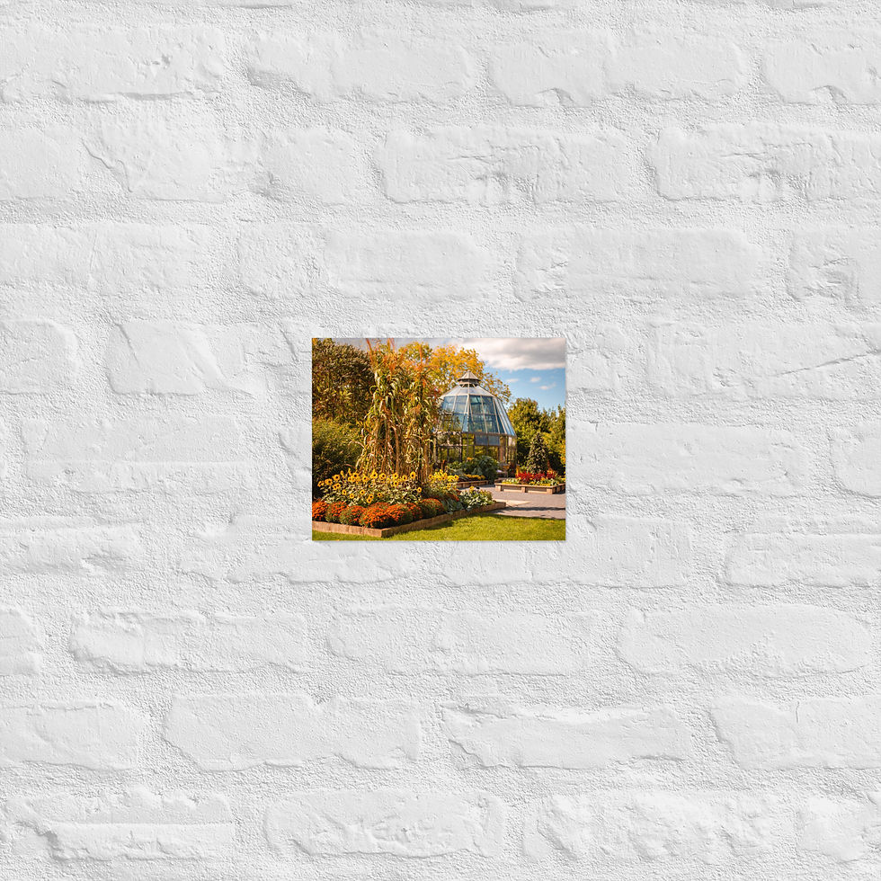 Thumbnail: Arboretum - Matte Poster