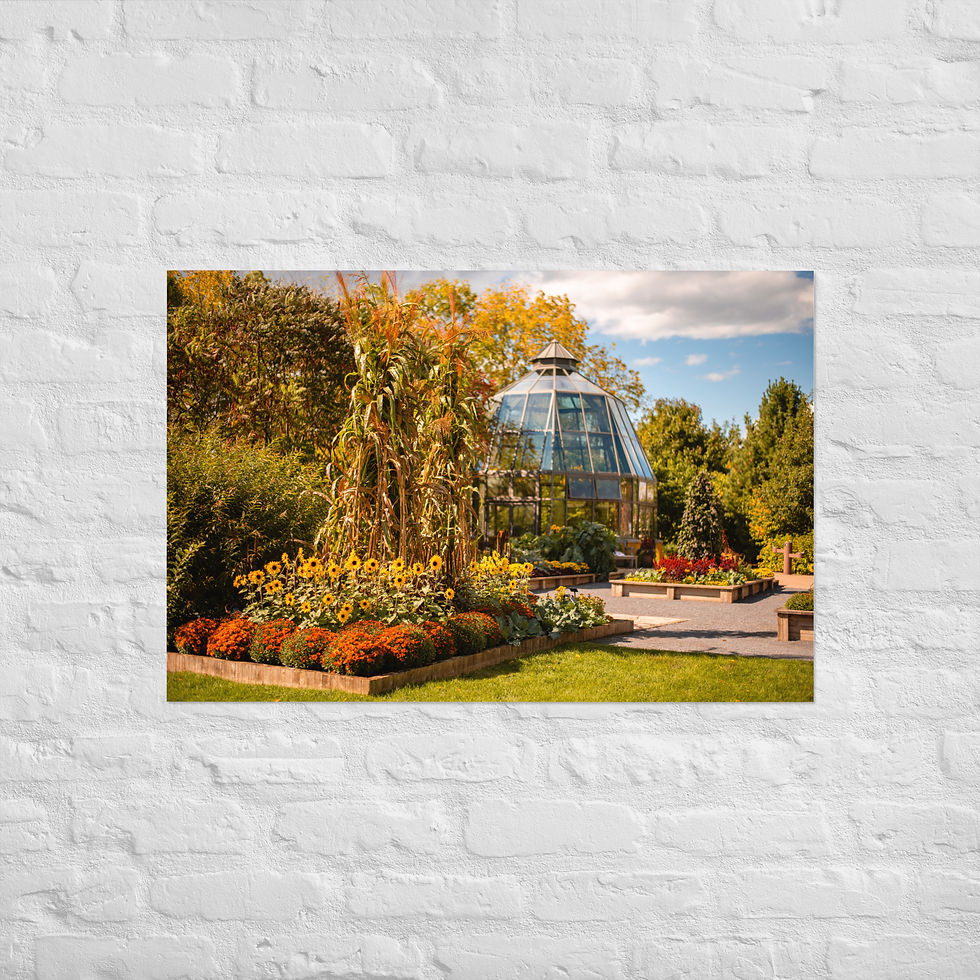 Thumbnail: Arboretum - Matte Poster