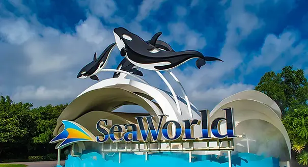 TLMD-SeaWorld (1).webp