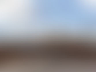 Embassy and ambassadors