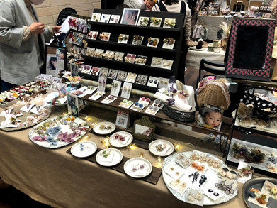IMG_7509.jpeg